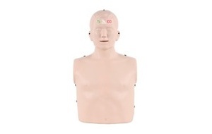 심폐소생술 인체모형(L300)