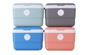 아이스박스(도트 아이스박스 21L)